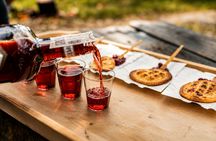 Zakopane tour with hot bath pools and hotel pick-up