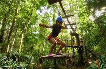 Jungle adventure with ATV, zip line, cenote and tequila tasting