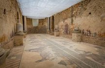 Excursion to Valley of the Temples and Piazza Armerina from Palermo