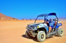 Sand Buggy Evening Experience with Dinner and Show in Hurghada Desert
