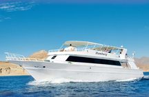 Sunset family cruise to Ras Mohammed National Park with refreshments