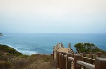 Santa Monica to Malibu beaches and celebrity homes tour