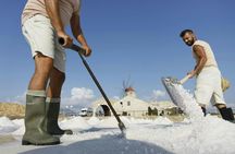 Guided salt harvesting experience in a traditional salt pan
