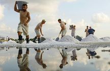 Guided salt harvesting experience in a traditional salt pan