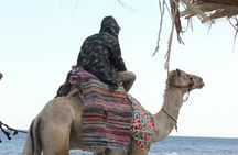 Dahab City Tour by Night with Seafood Dinner from Sharm El Sheikh