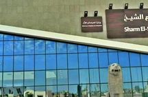Sharm City Tour with the Antiquity Museum