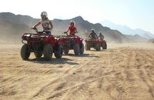 Stargazing with a quad bike, camel ride, dinner and show in Sharm El Sheikh