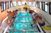 Glass-bottom boat tour from Sharm El Sheikh