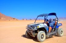 Ultimate Sand buggy experience in the Sahara with dinner from Sharm El Sheikh