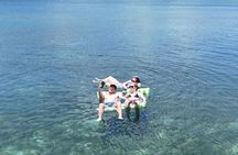 St John's snorkel with sea turtles at Green Island