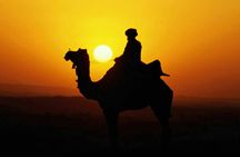 Naqb National Park in a 4x4 with camel ride and dinner