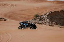 Agadir combo buggy and camel ride
