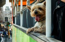 Milan open top hop-on hop-off bus tour 24 hours