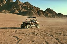 Morning buggy tour with camel ride in Marsa Alam