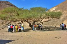 Super safari in a 4x4 plus quad bike and camel ride in Marsa Alam