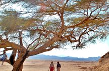 Super safari in a 4x4 plus quad bike and camel ride in Marsa Alam