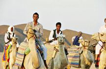 Super safari in a 4x4 plus quad bike and camel ride in Marsa Alam