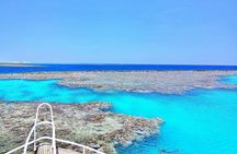 Hamata Snorkeling Cruise from Marsa Alam with Lunch and Drinks