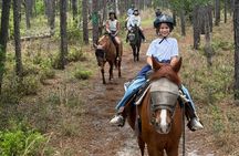 50-minute horseback trail ride in Central Florida