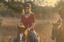 50-minute horseback trail ride in Central Florida