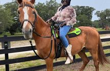 2-hour Central Florida forest horseback ride for all levels