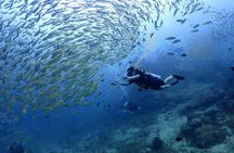 Racha Islands scuba diving trip with up to 3 dives at for all levels