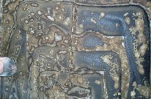 The temples of Dendera and Abydos from Luxor