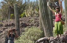 Oasis Wildlife Fuerteventura Botanic Experience guided tour