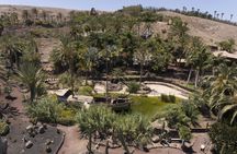 Oasis Wildlife Fuerteventura Botanic Experience guided tour