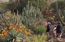 Oasis Wildlife Fuerteventura Botanic Experience guided tour