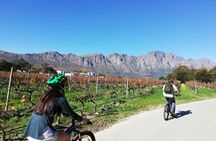 Franschhoek Winelands 7 hour Private E-Bike Tour with Lunch