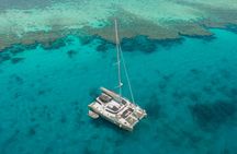 Small group Red Sea catamaran cruise to Ras Mohamed