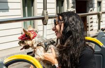Milan open top hop-on hop-off bus tour 48 hours