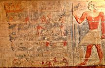 Full-day discover Saqqara Step Pyramid, Serapium and tomb of Mereruka