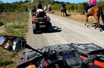 Guided quad tour from Villajoyosa in the mountains of Costa Blanca