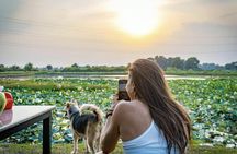 Lotus Silk Farm tour and countryside sunset by tuk-tuk in Siem Reap