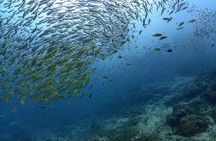 Full-day snorkelling and yacht adventure in Racha Island