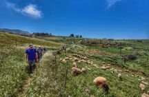Full-day hiking tour in Gran Canaria: route of the week