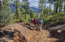 Full-day hiking tour in Gran Canaria: route of the week