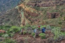 Full-day hiking tour in Gran Canaria: route of the week
