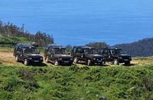 Private full-day 4x4 off-road safari in eastern Madeira