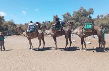 E-Scooter city tour with camel safari across Maspalomas dunes