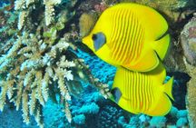 Visit Luxor and Red Sea from Marsa Alam