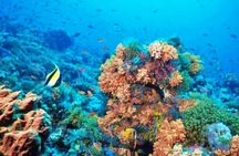 Nefertari yacht evening VIP cruise from Marsa Alam