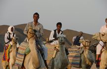 Super 4x4 safari with sand buggies and camel ride in Marsa Alam