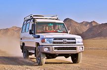 Super 4x4 safari with sand buggies and camel ride in Marsa Alam