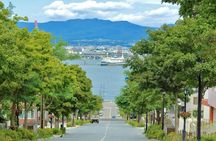 Private Hakodate excursion with Mount Hakodate and Goryokaku