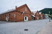 Private Hakodate excursion with Mount Hakodate and Goryokaku