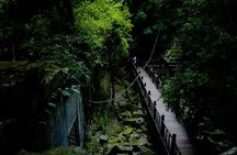 2-day Angkor Wat and Beng Mealea temples tour from Siem Reap
