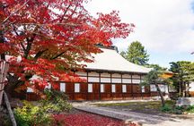 Private Aomori excursion to Hirosaki Castle and Apple Hill